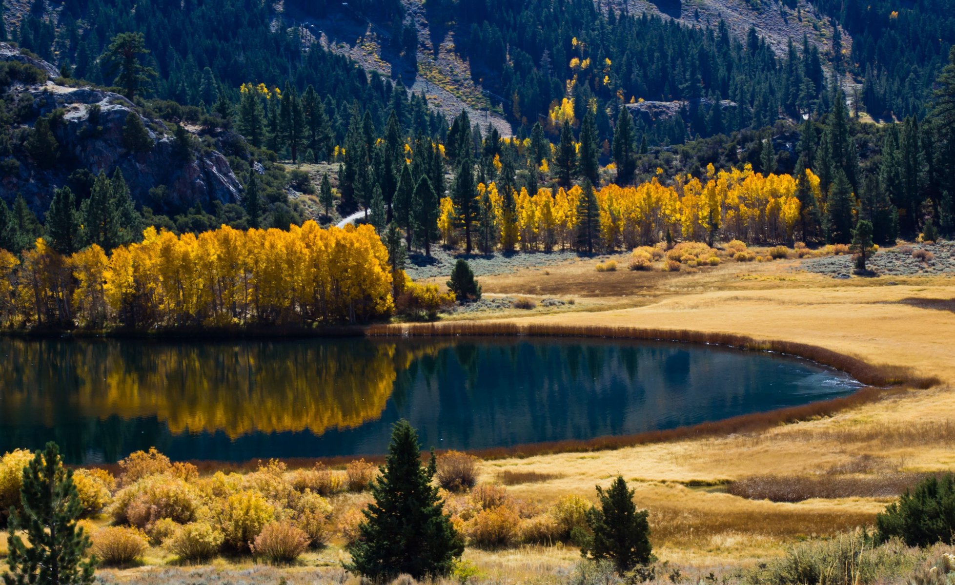 otoño lago bosque naturaleza