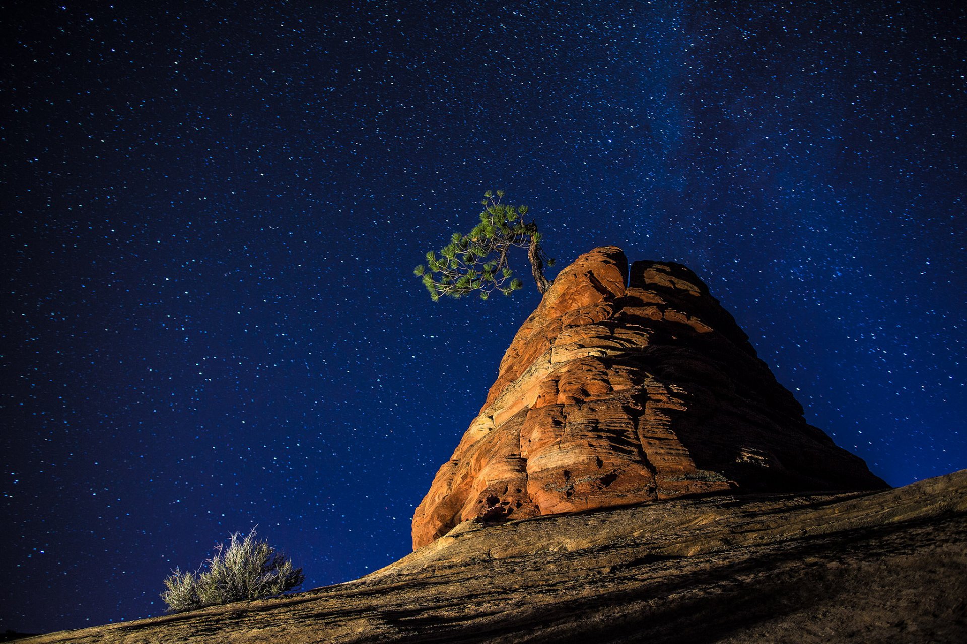 natur nacht himmel sterne felsen baum