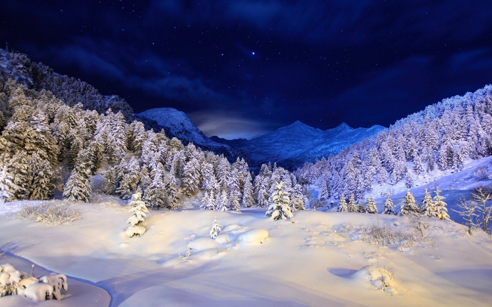 mountain snow winter forest