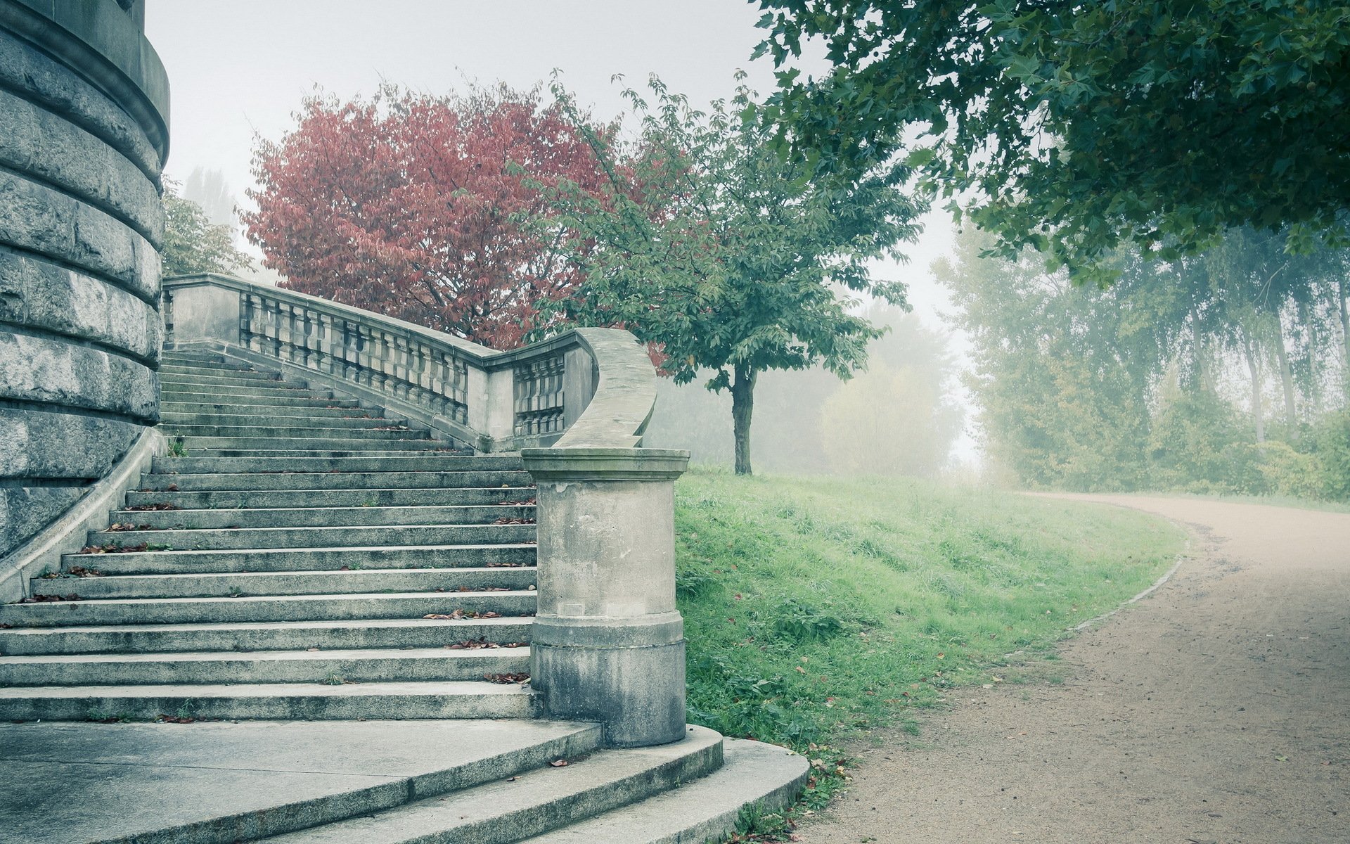 niebla camino escalones