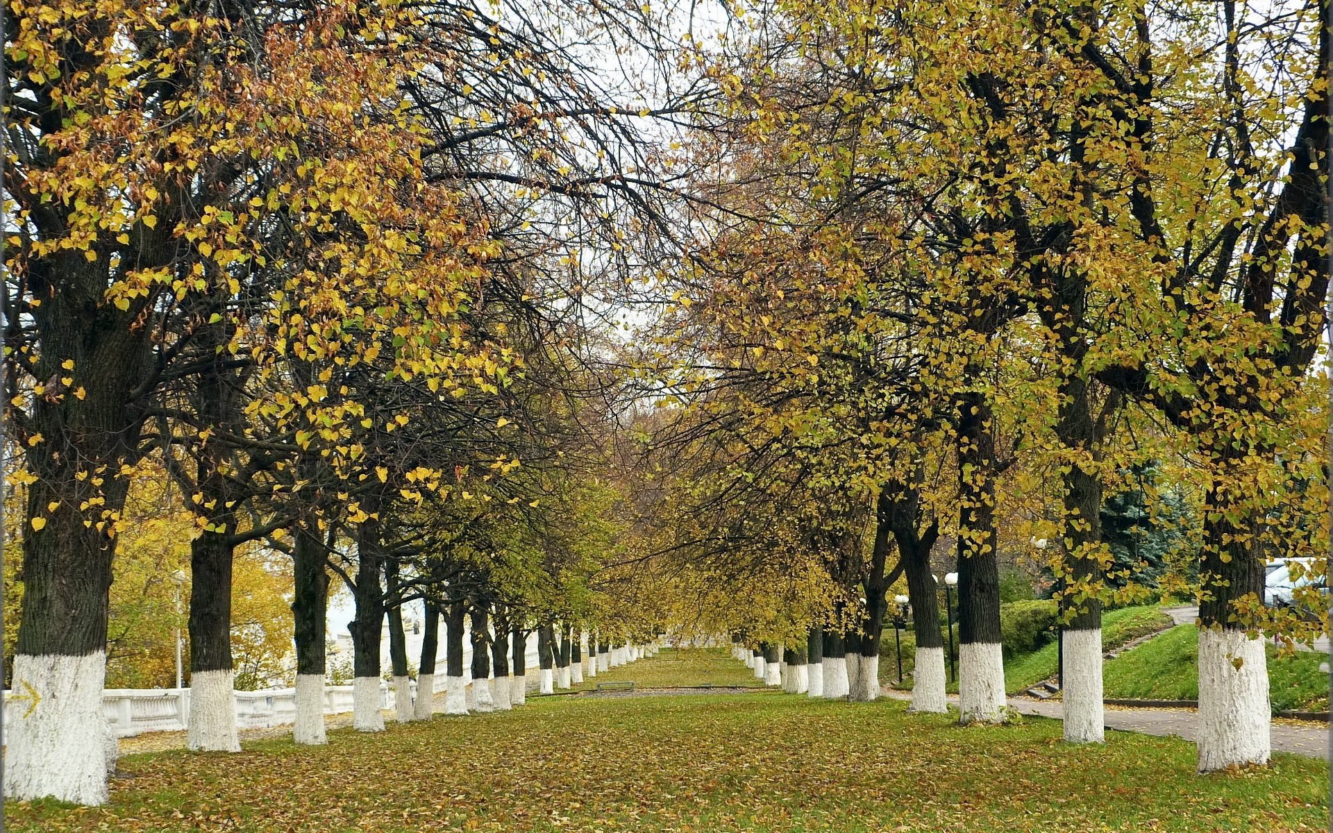 park bäume herbst natur