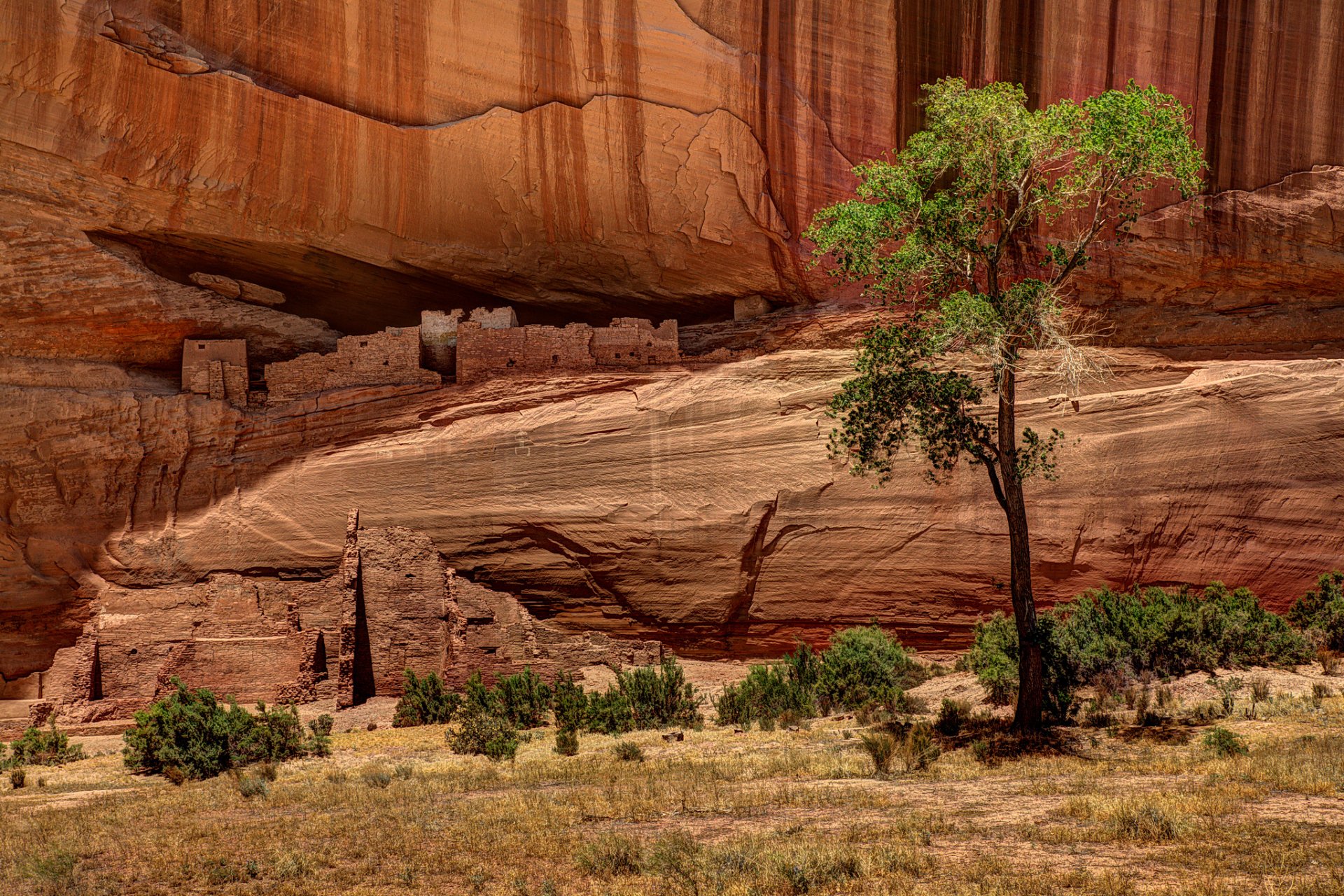 natur canyon usa felsen baum wohnungen zeichnungen