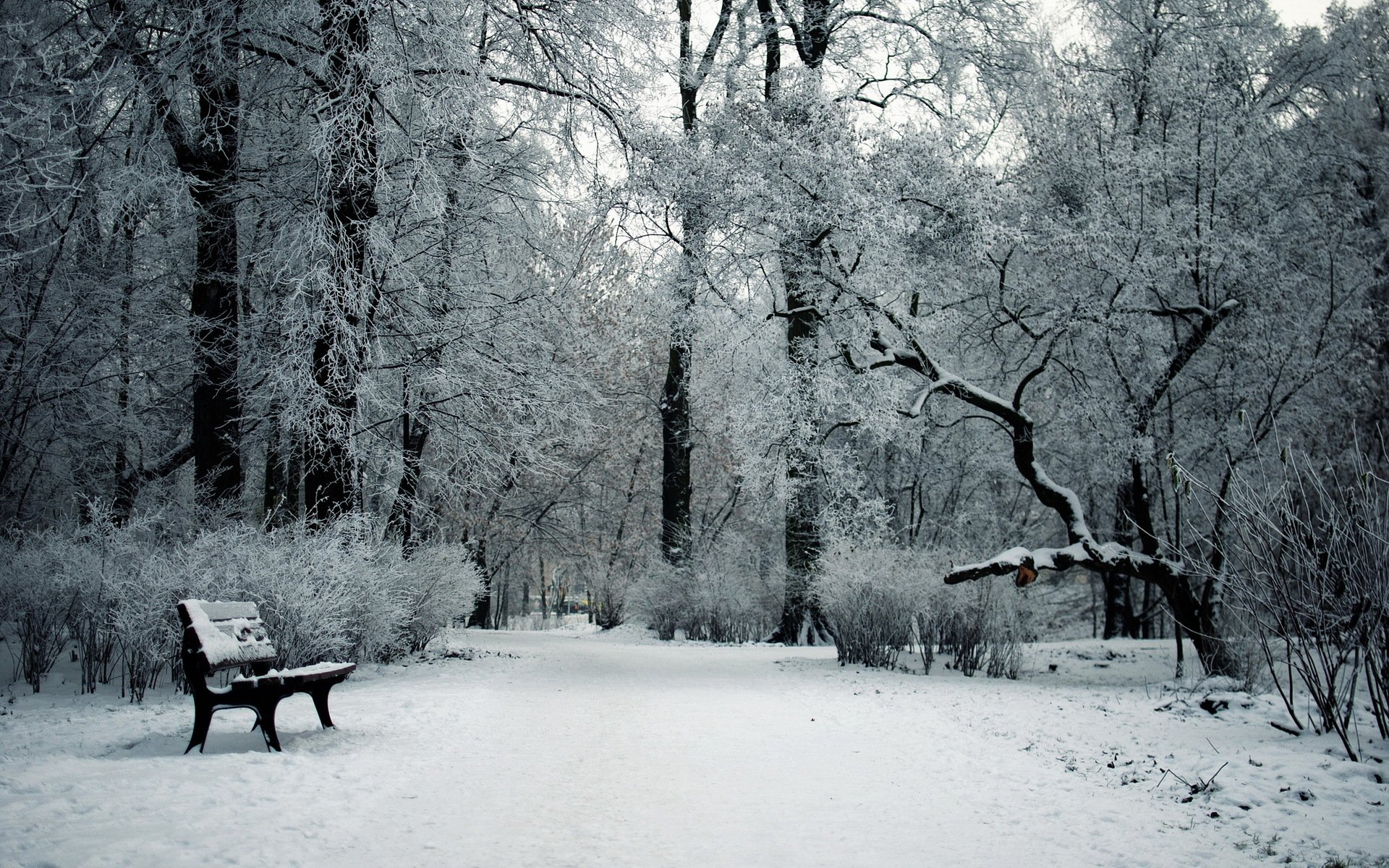 zima park śnieg ławka