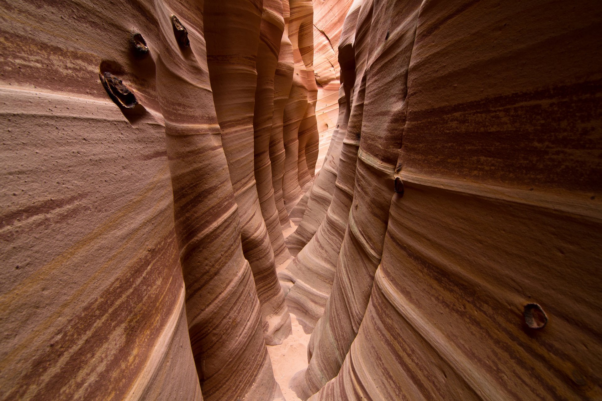 utah estados unidos cañón de cebra rocas textura