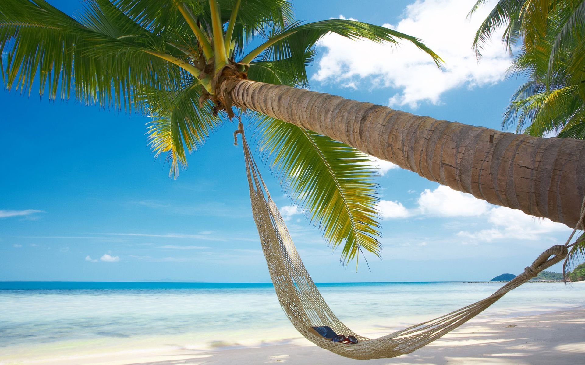 été la chaleur mer plage palmier sable hamac vacances livre lunettes soleil