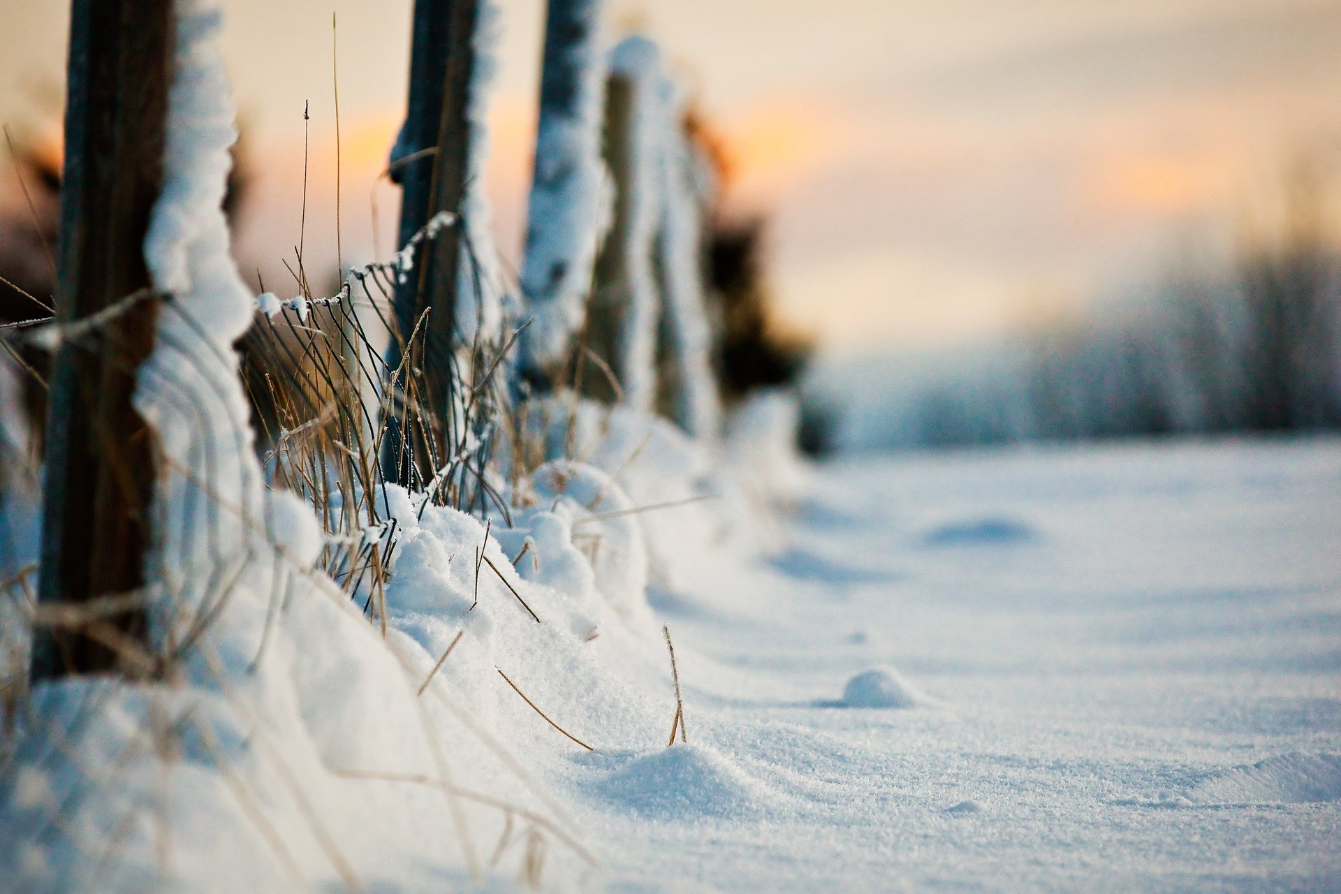 macro invierno nieve cerca noche