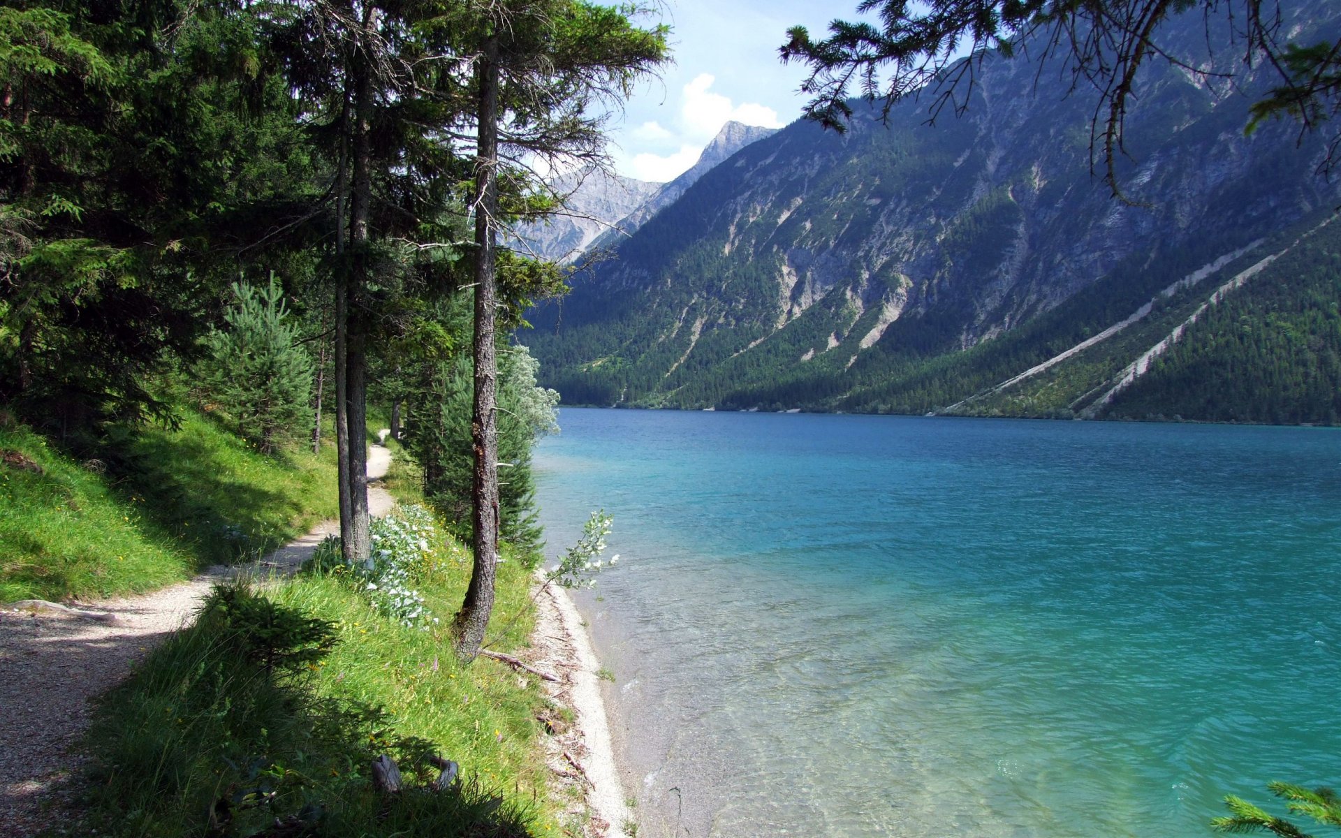 see weg bäume berg wasser ufer gras