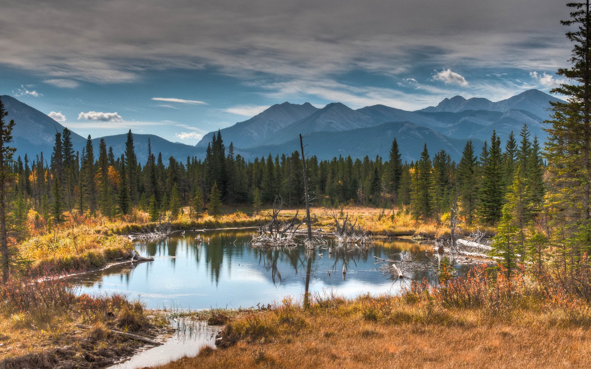 montagne forêt herbe automne lac eau