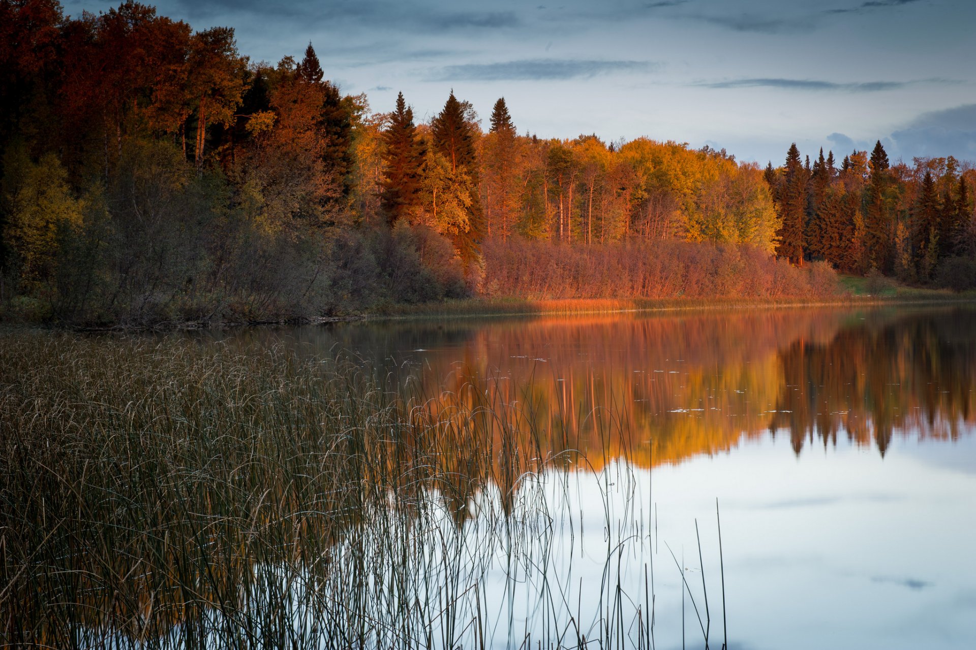 nature autumn river forest