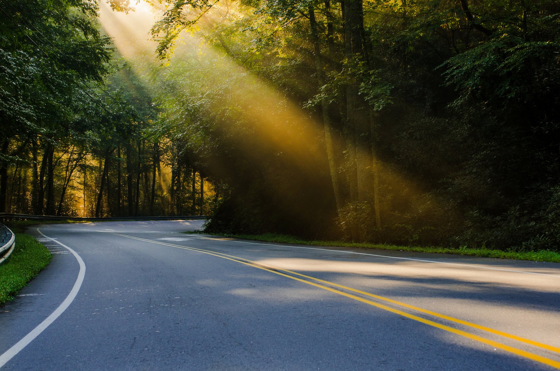 usa north carolina natur straße wald licht traum sommer regularjoe fotografie