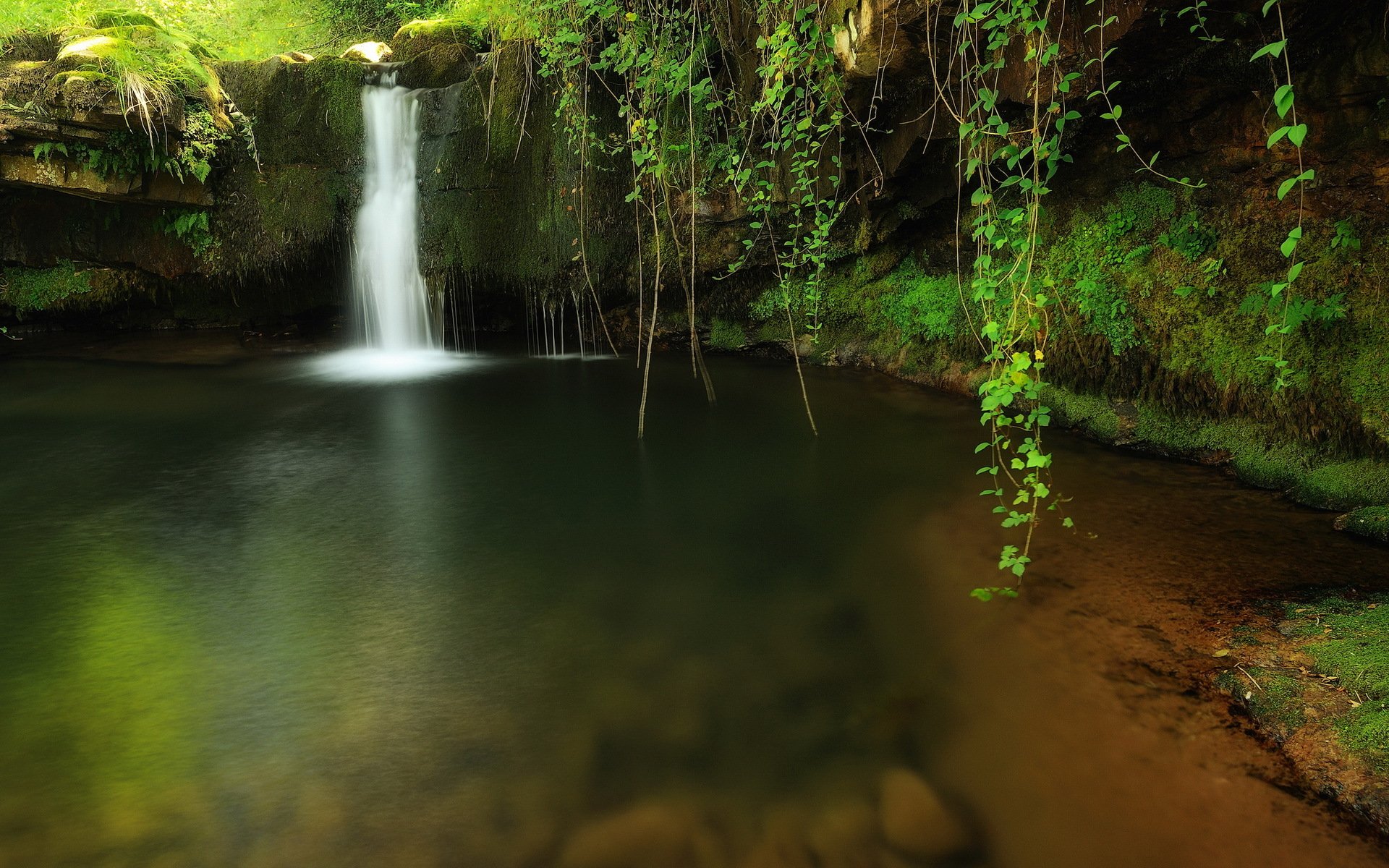 creek waterfall forest nature