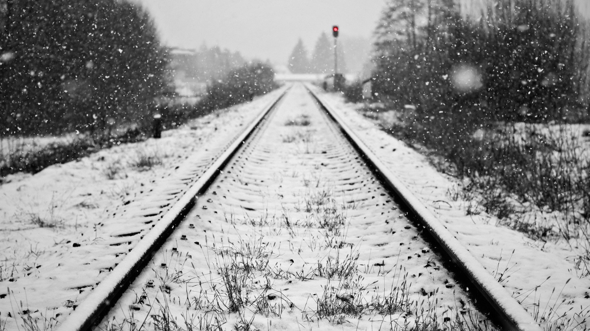 schienen schnee winter