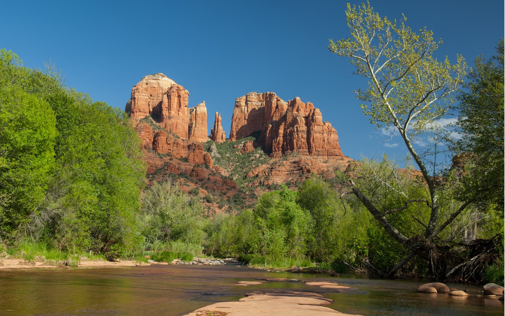 rocce alberi vegetazione acqua sabbia rocce radici