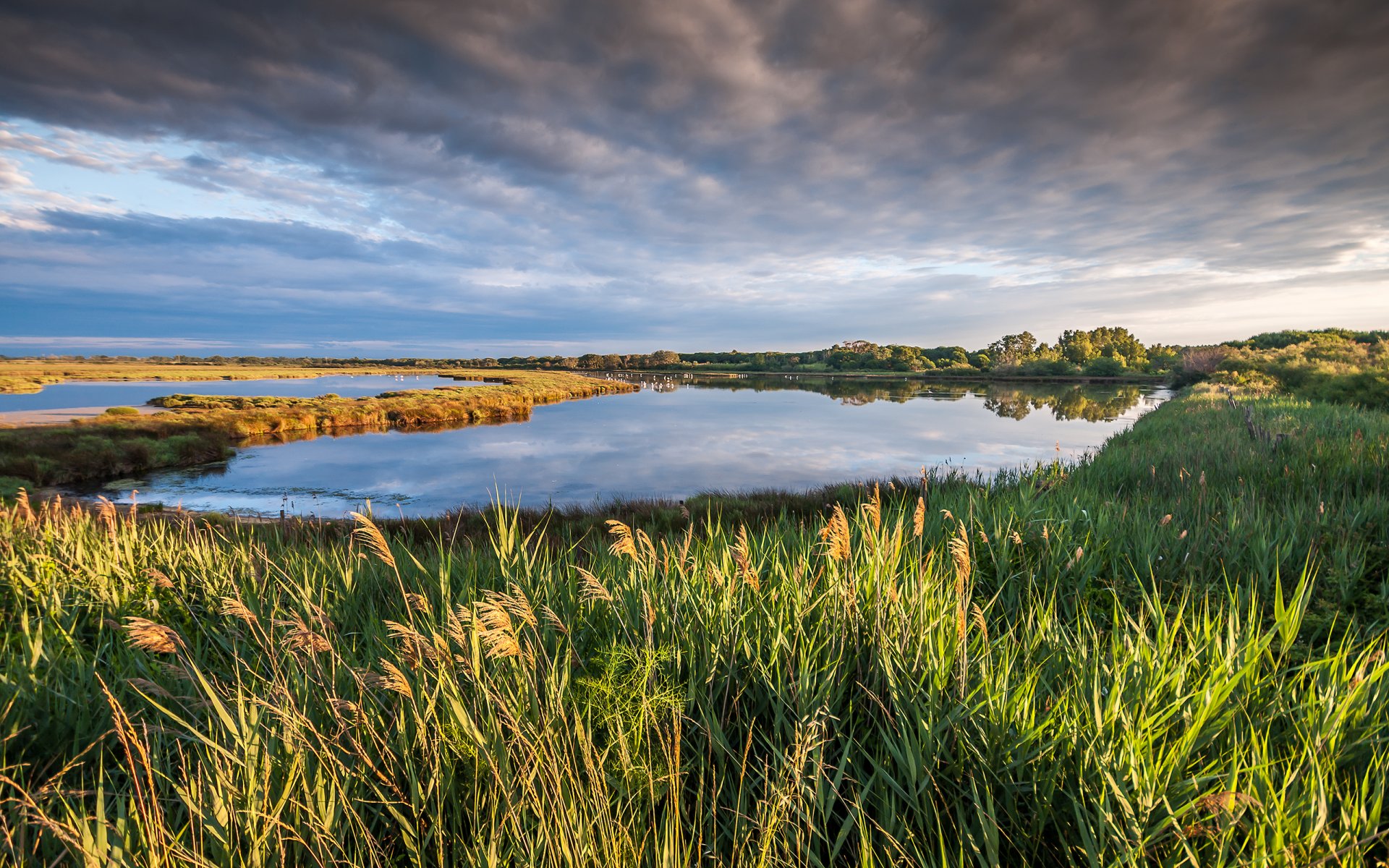 camargue appétissante france nature paysage ciel nuages lac herbe