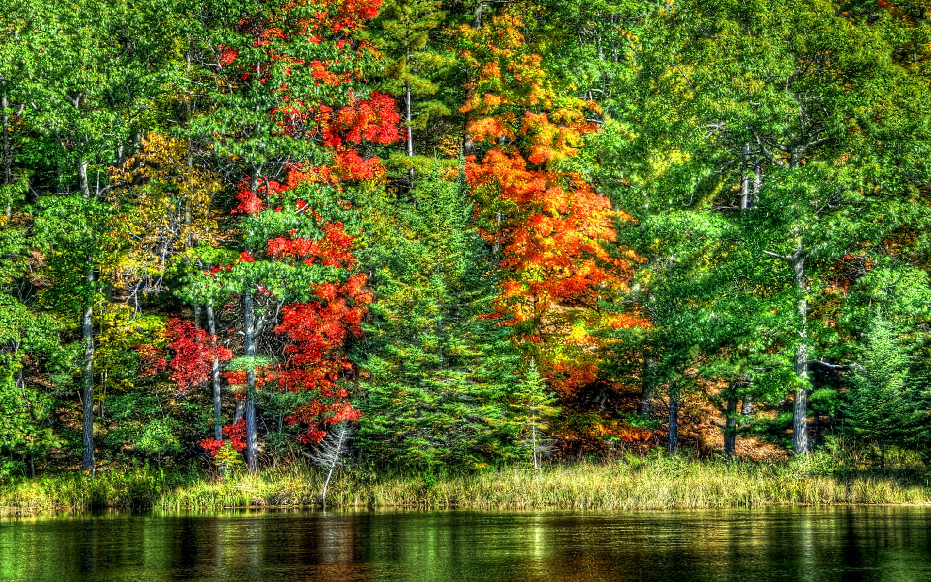 natur landschaft see wasser bäume herbst wald