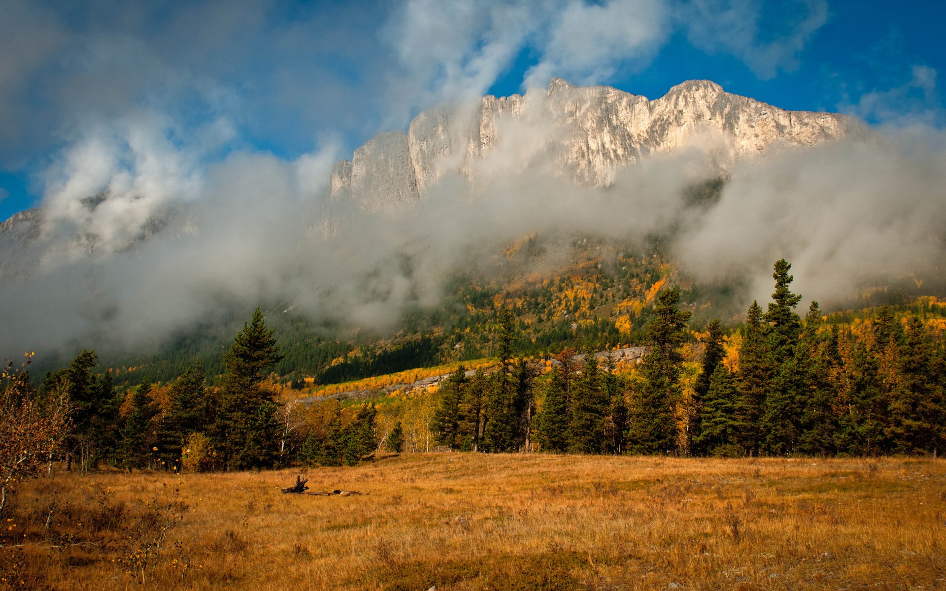 natur herbst berge nebel wolken bäume fichte nadelbäume