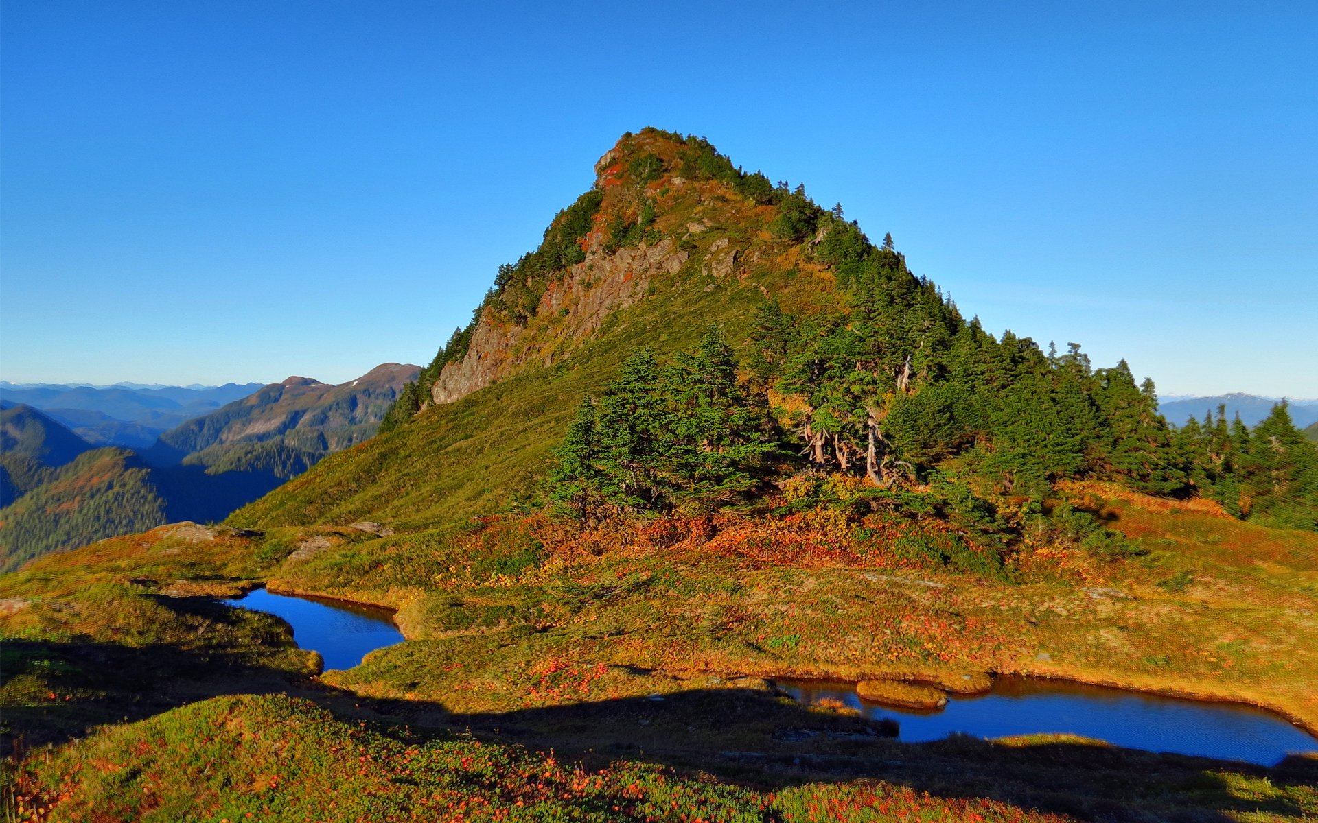 nature montagne colline lac eau flaques d eau arbres