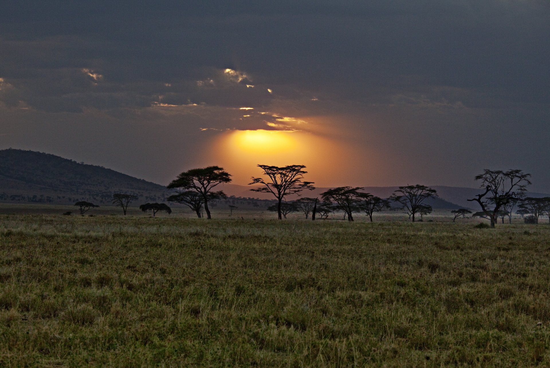 africa kenya savana tramonto