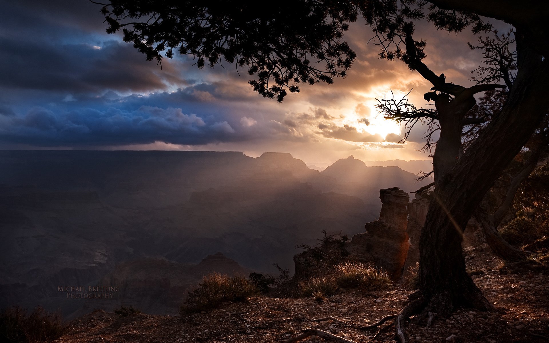 arizona grand canyon tree clouds sun