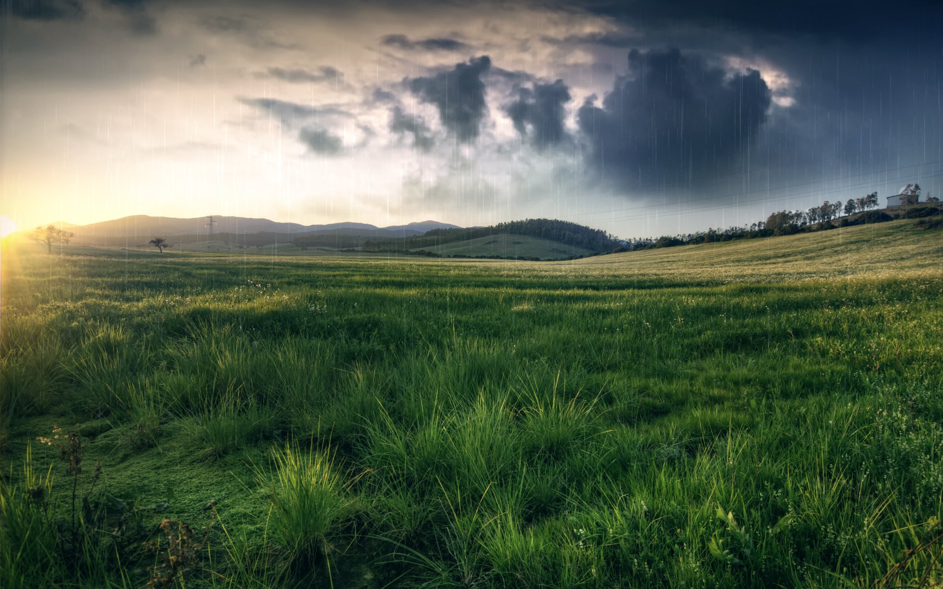 nature the field meadow grass hills rain cloud