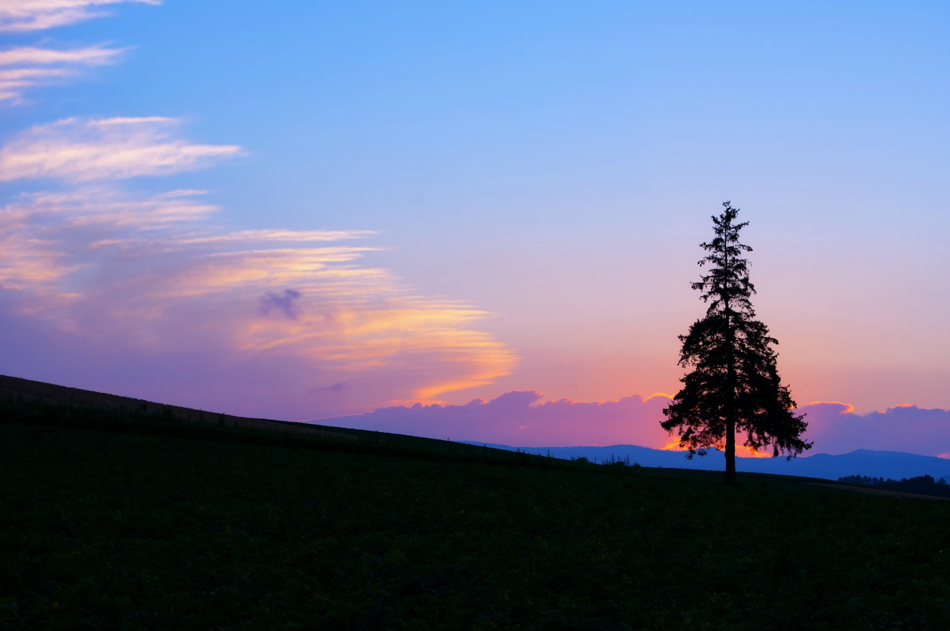 sera luminoso tramonto blu cielo nuvole campo albero pendenza