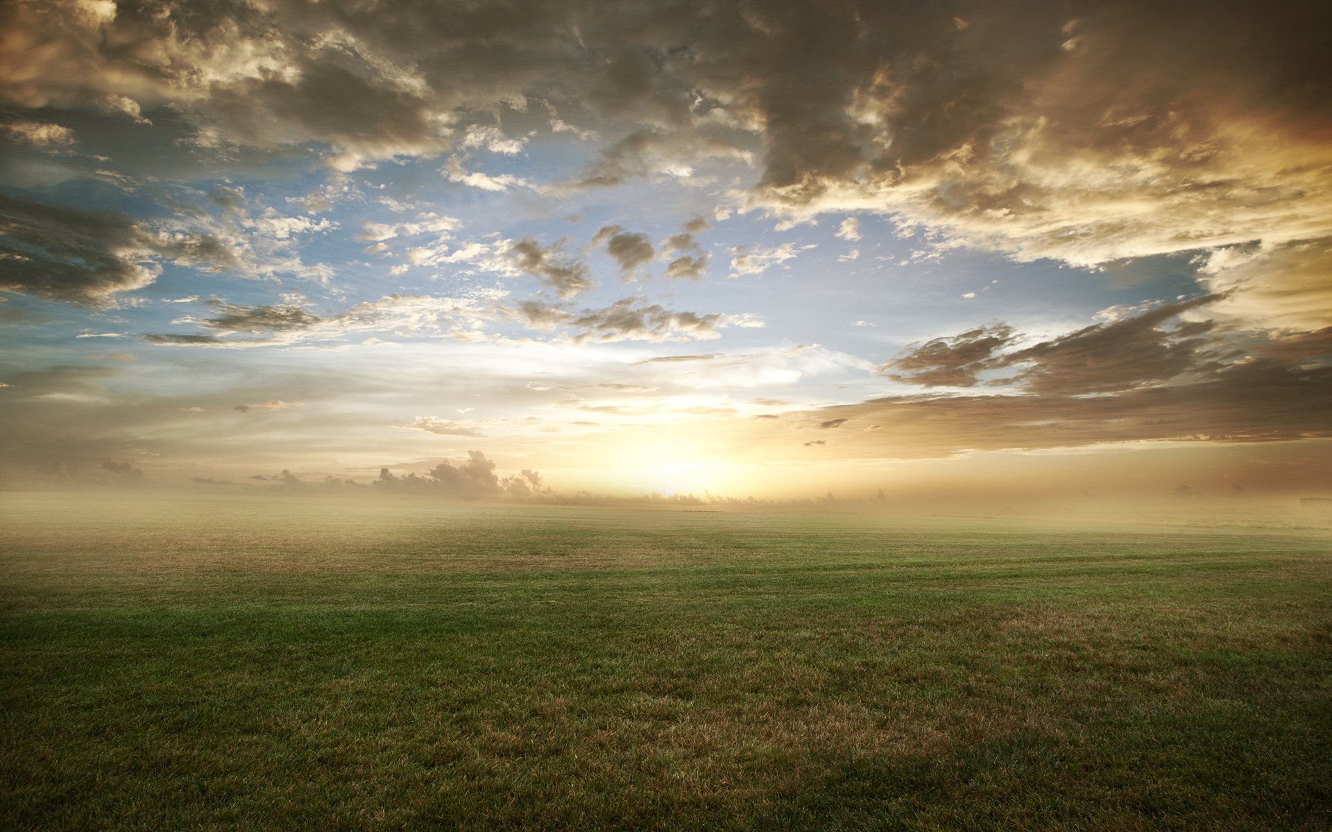 nature champ herbe pelouse nuages matin brouillard