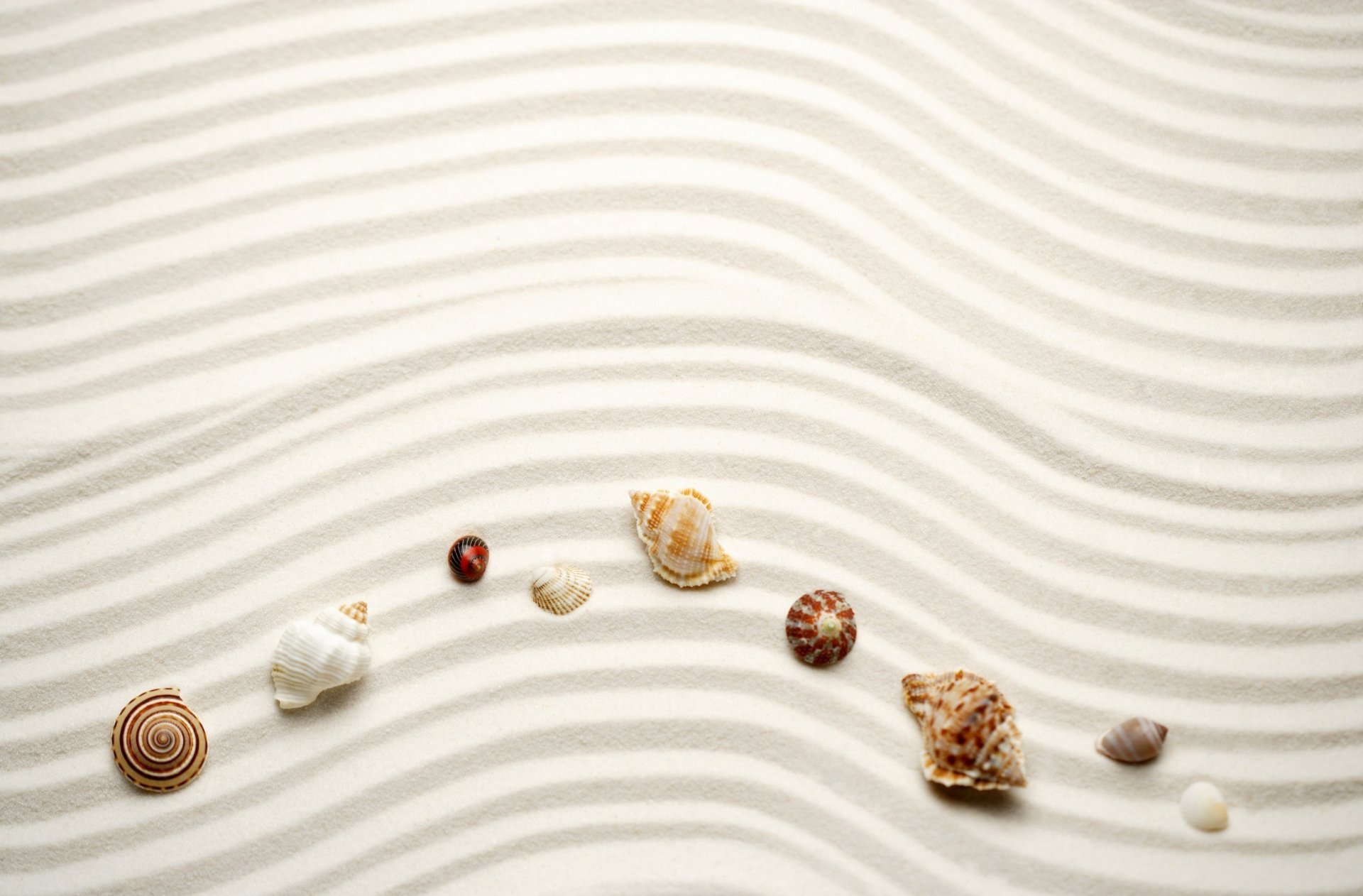 natur strand sand wellen linien muscheln