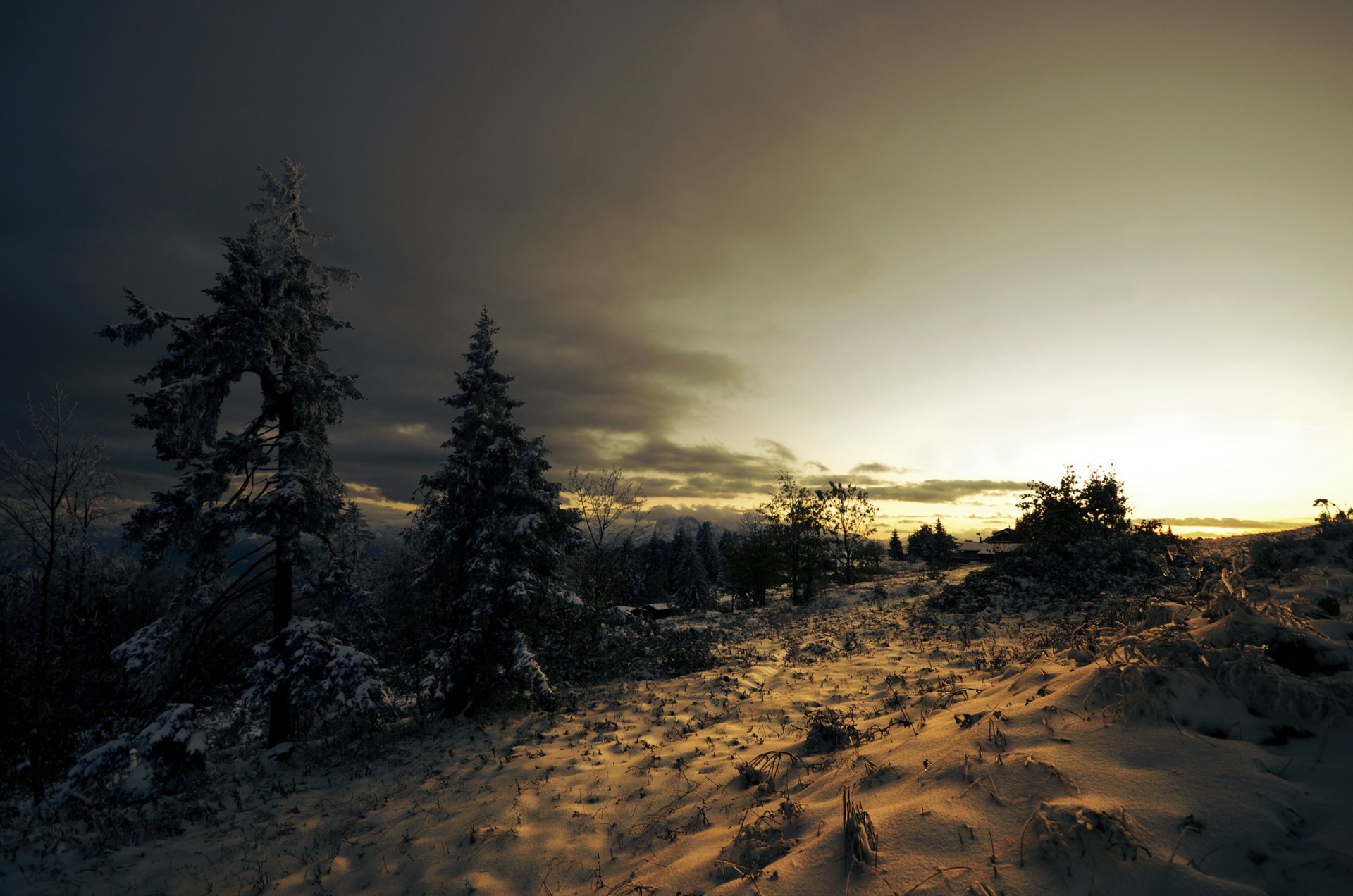 nieve árboles invierno coníferas abeto puesta de sol nubes