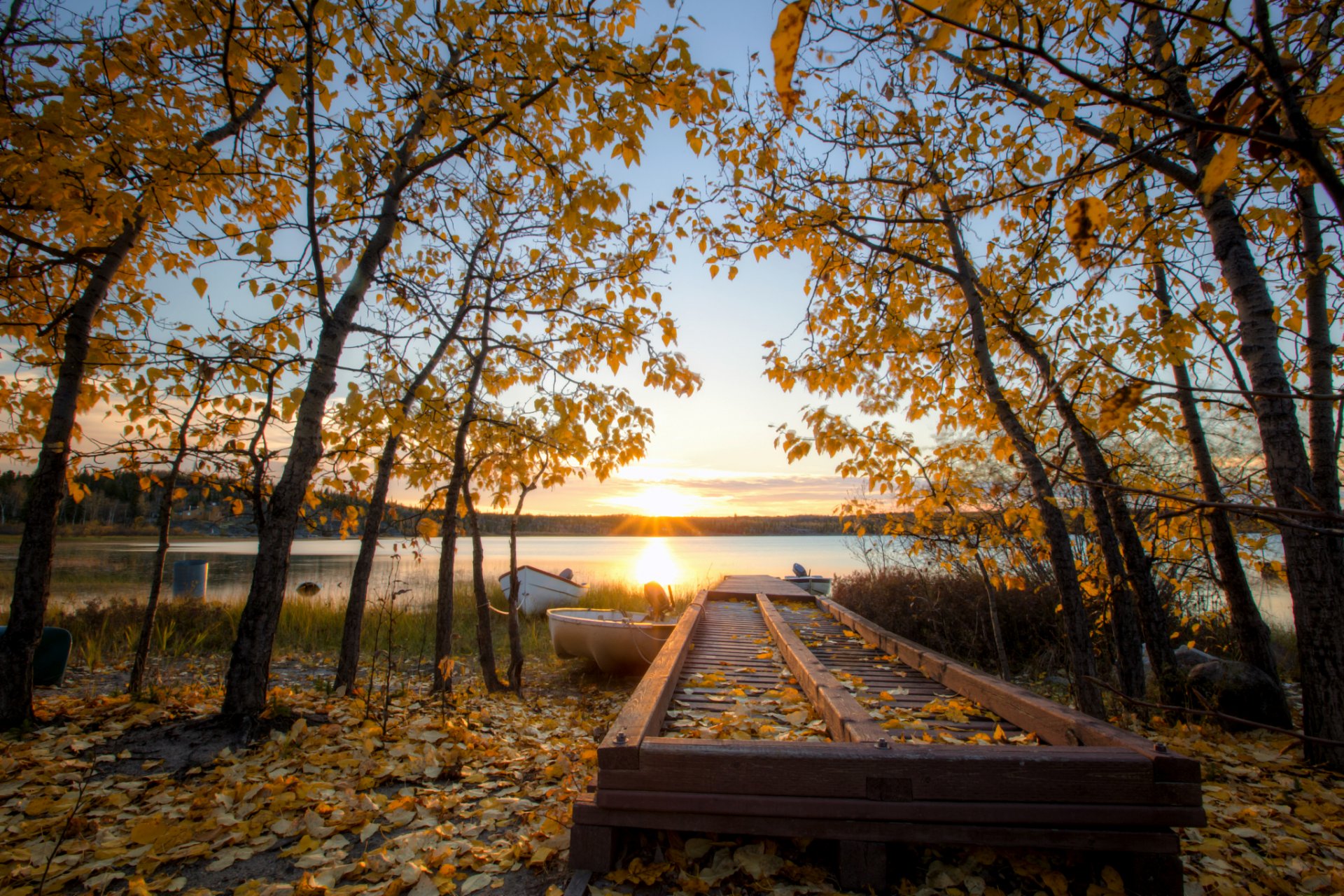 canada autumn tree yellow leaves lake beach boat night sun rays sunset blue sky cloud