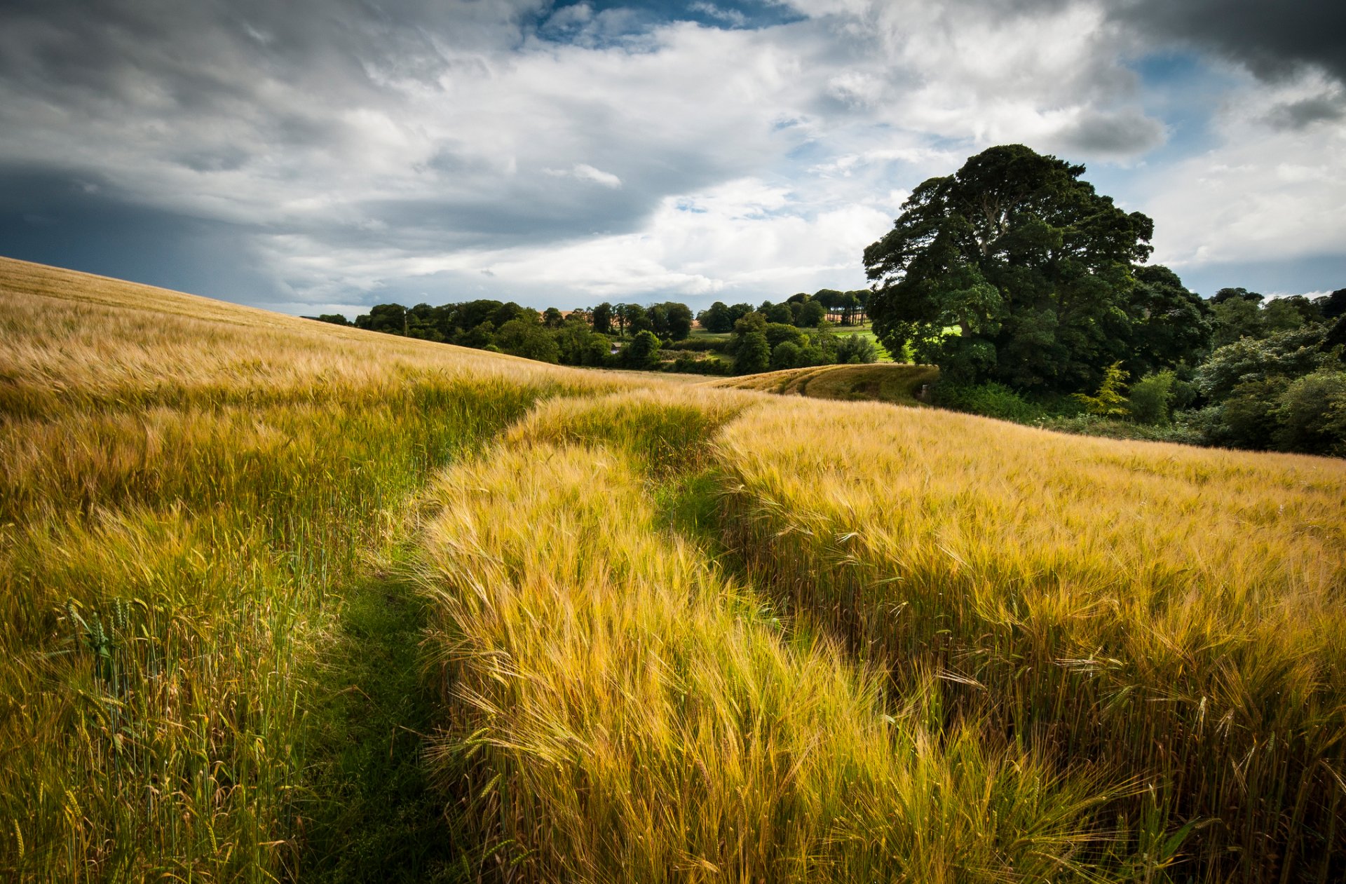 natura cielo nuvole campo grano impronta estate