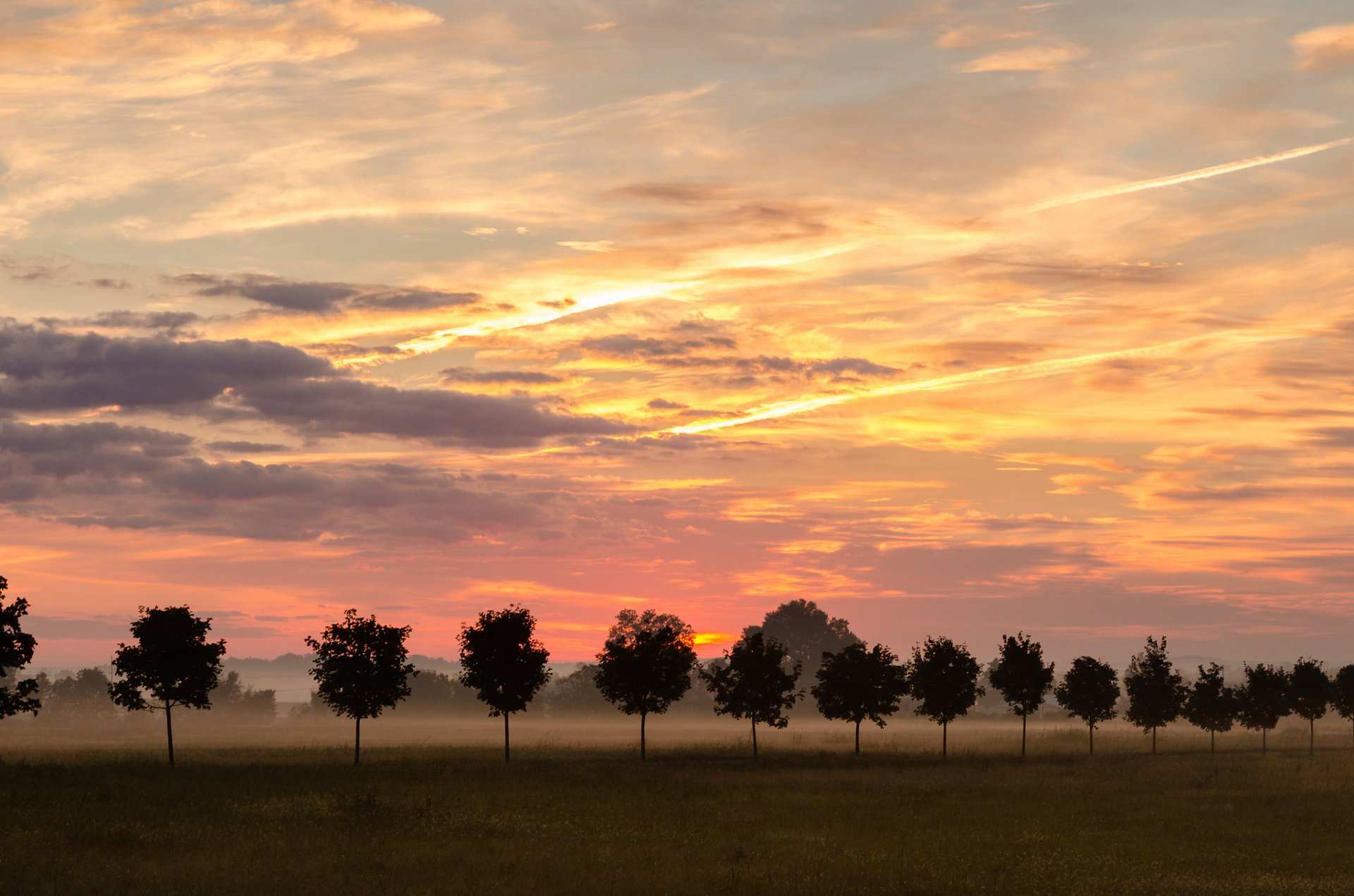 natur himmel nebel bäume reihe