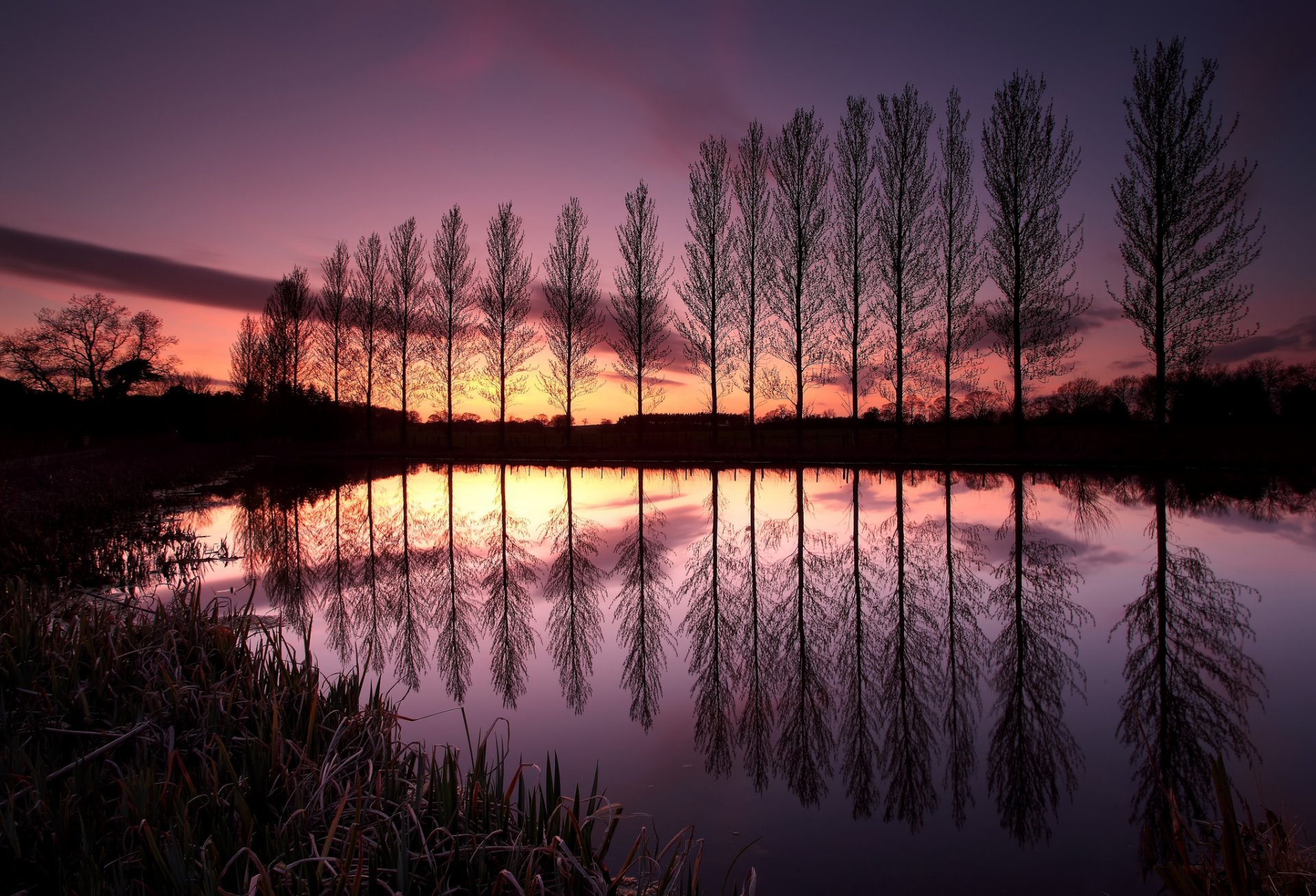 royaume-uni angleterre arbres rangée lac réflexion soir coucher de soleil ciel nuages