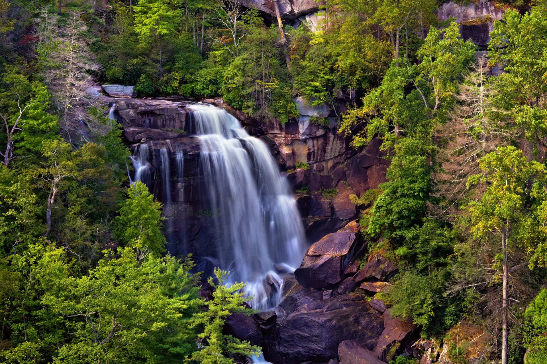 whitewater falls cascata rocce ruscello alberi