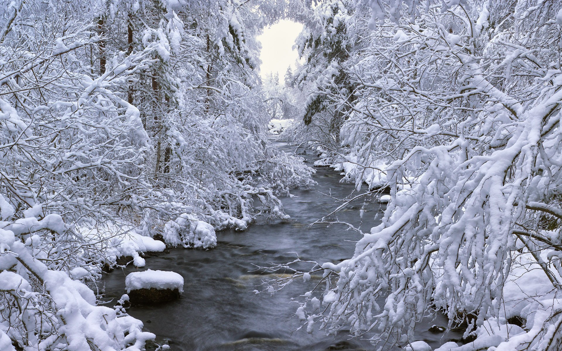 böle dalarna svezia inverno neve foresta alberi fiume