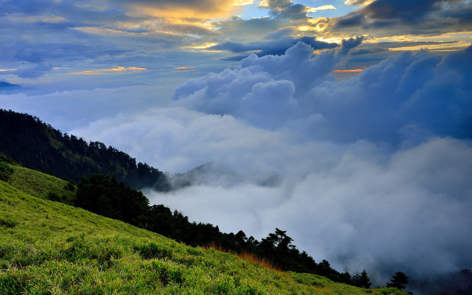 natura colline erba verde nuvole nebbia