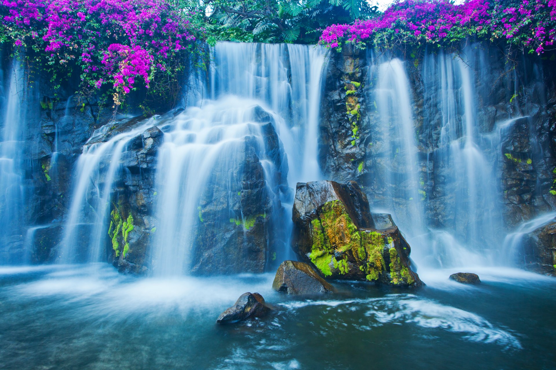 pietre muschio fiori cascata