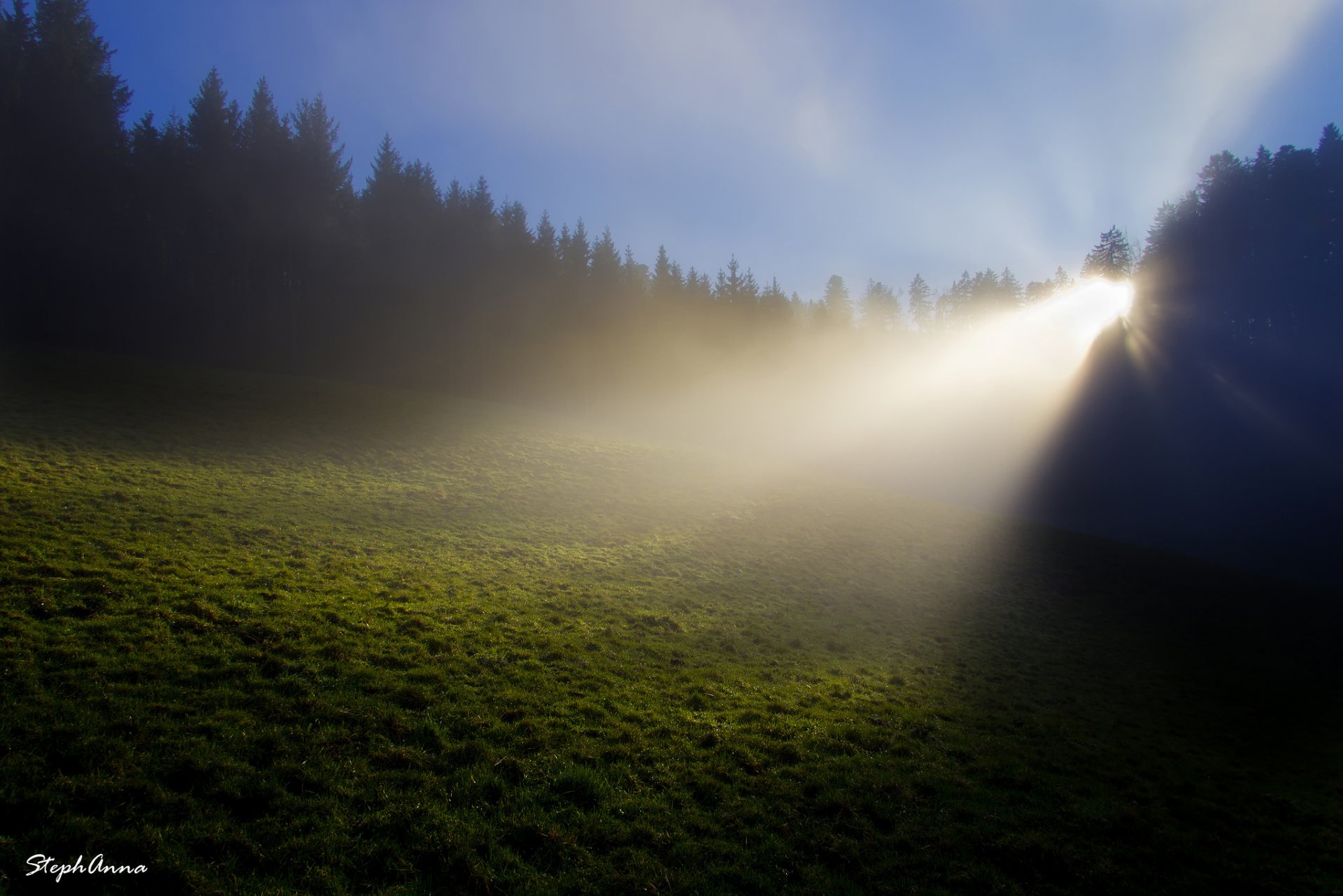 natura francia foresta radura erba rugiada mattina nebbia luce raggi stephan & anna gürtler photography