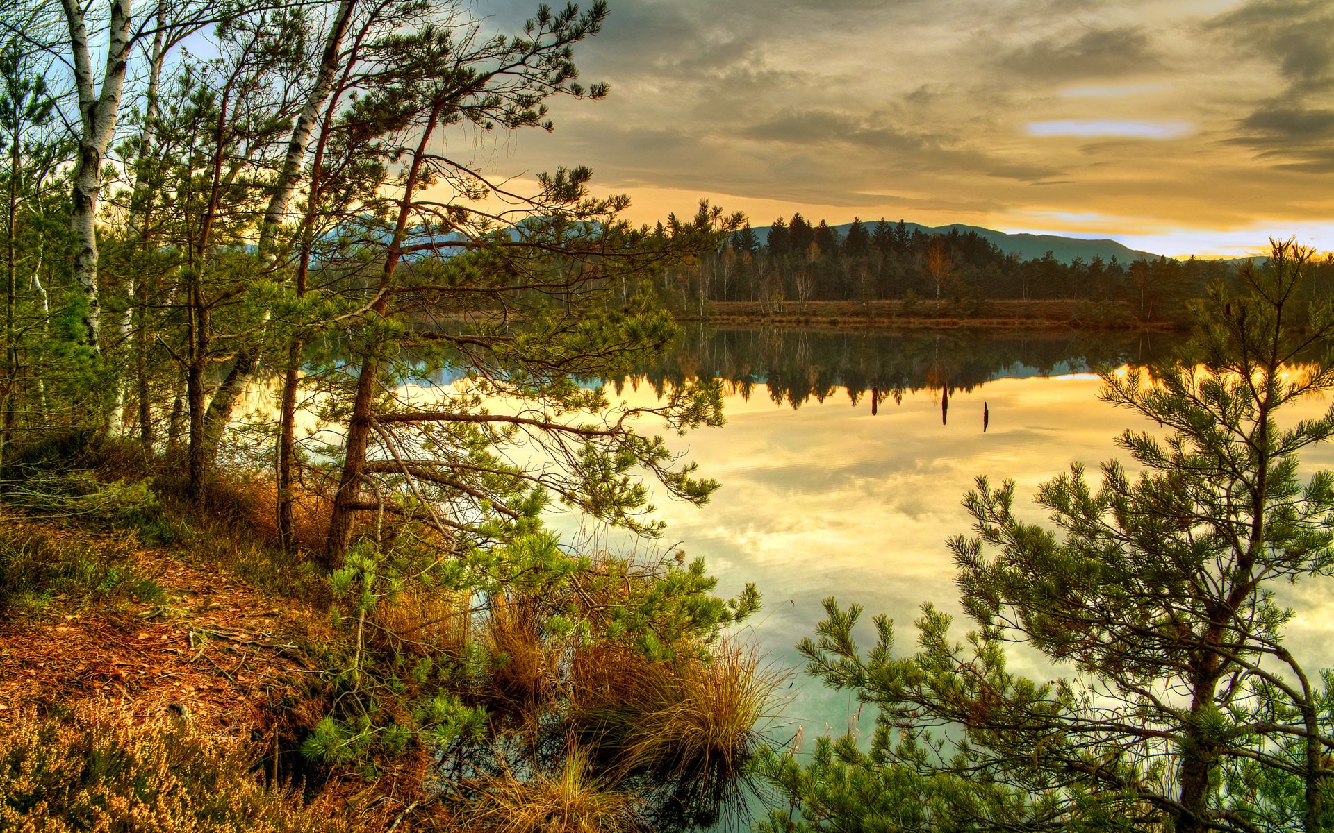 naturaleza lago otoño bosque árboles abeto agujas de pino hierba seco nubes puesta de sol mira