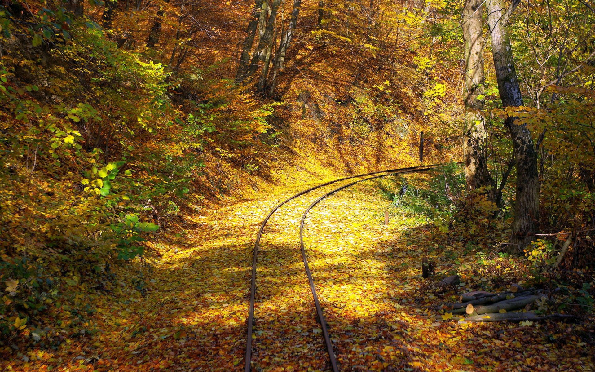 gelesnaya camino rieles durmientes bosque.árboles hojas ramas follaje otoño