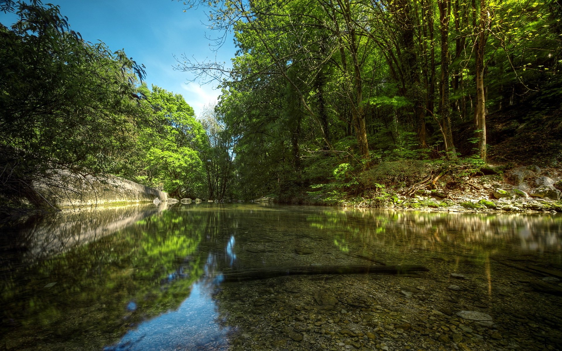 rzeka las natura lato