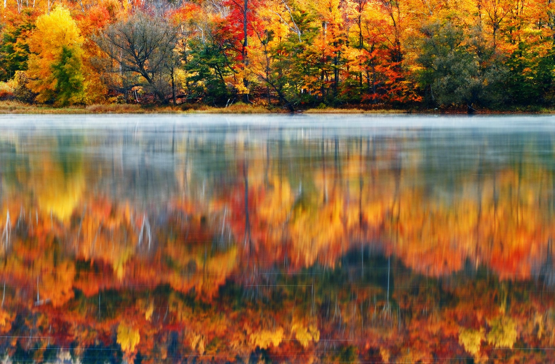 estados unidos nueva inglaterra new hampshire naturaleza mañana lago bosque pintura klaus brandstaetter fotografía