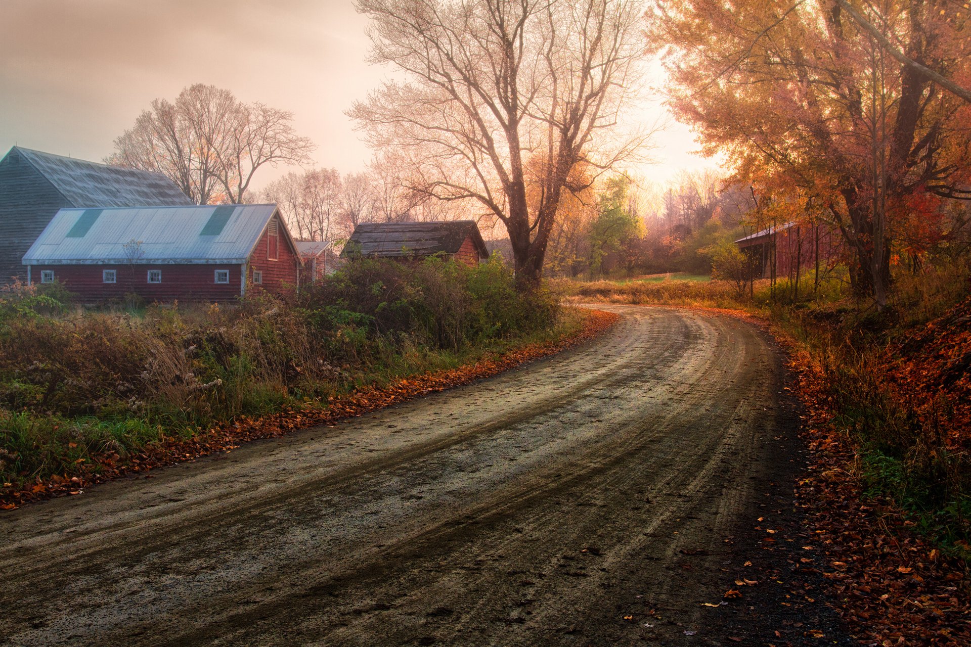 nature autumn derevnya road