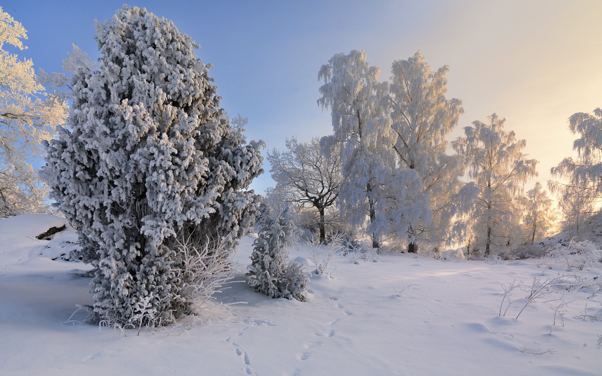 vagnhärad södermanland schweden winter schnee bäume