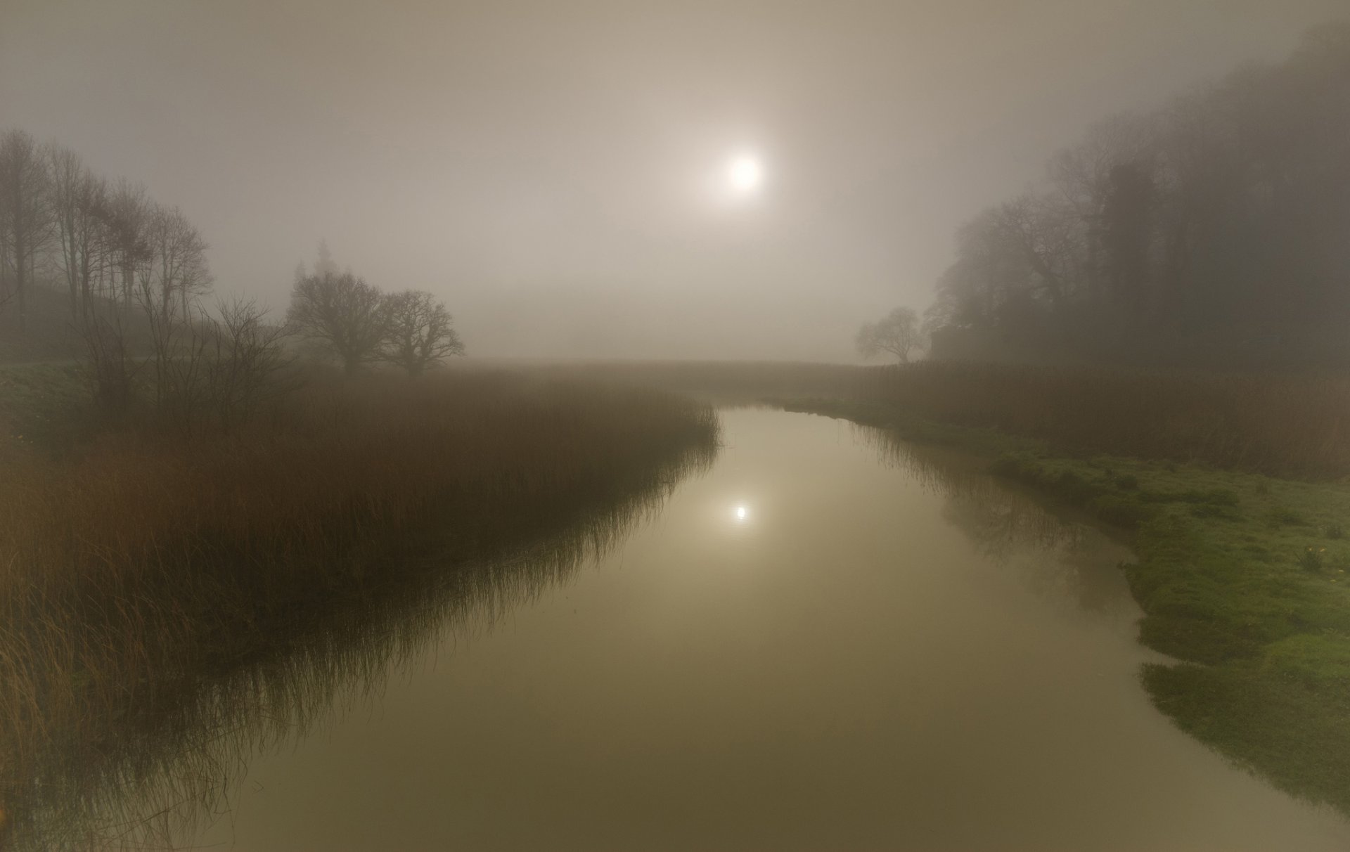 nebel fluss bäume sonne reflexion gras