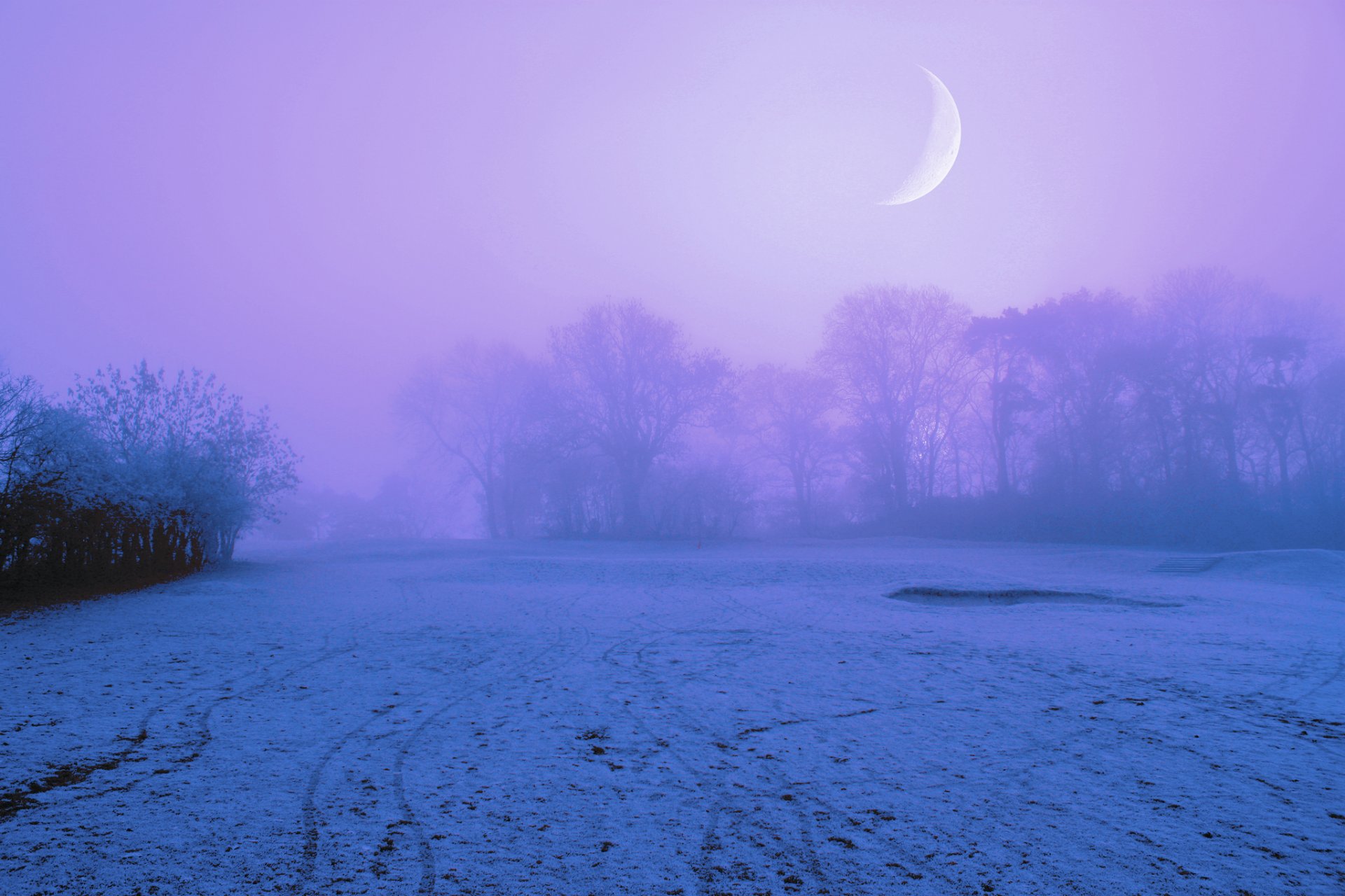 winter snow field tree fog night lilac sky moon