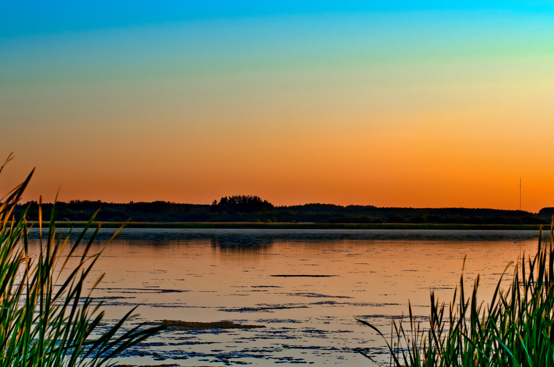 jezioro natura bagno trawa drzewa wieczór zachód słońca