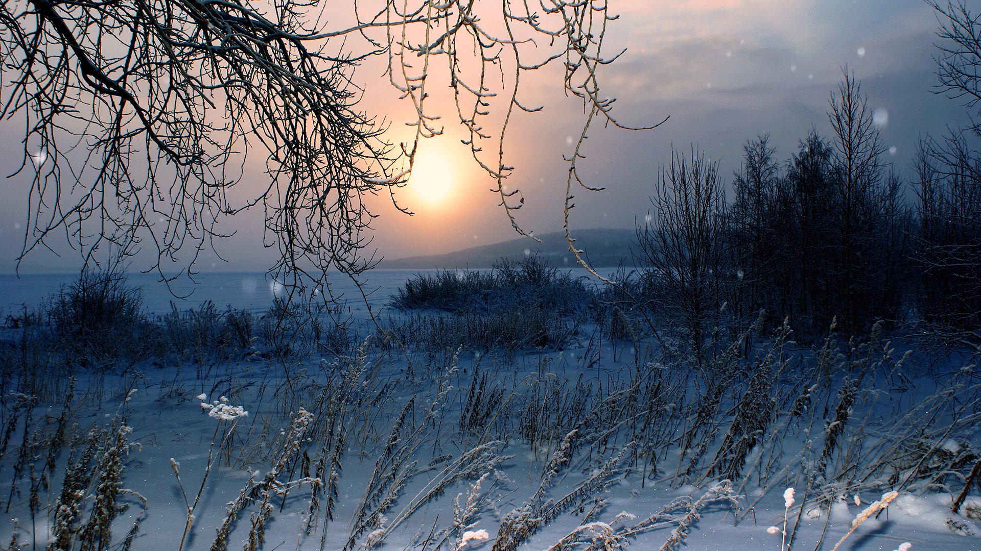 hiver neige nature