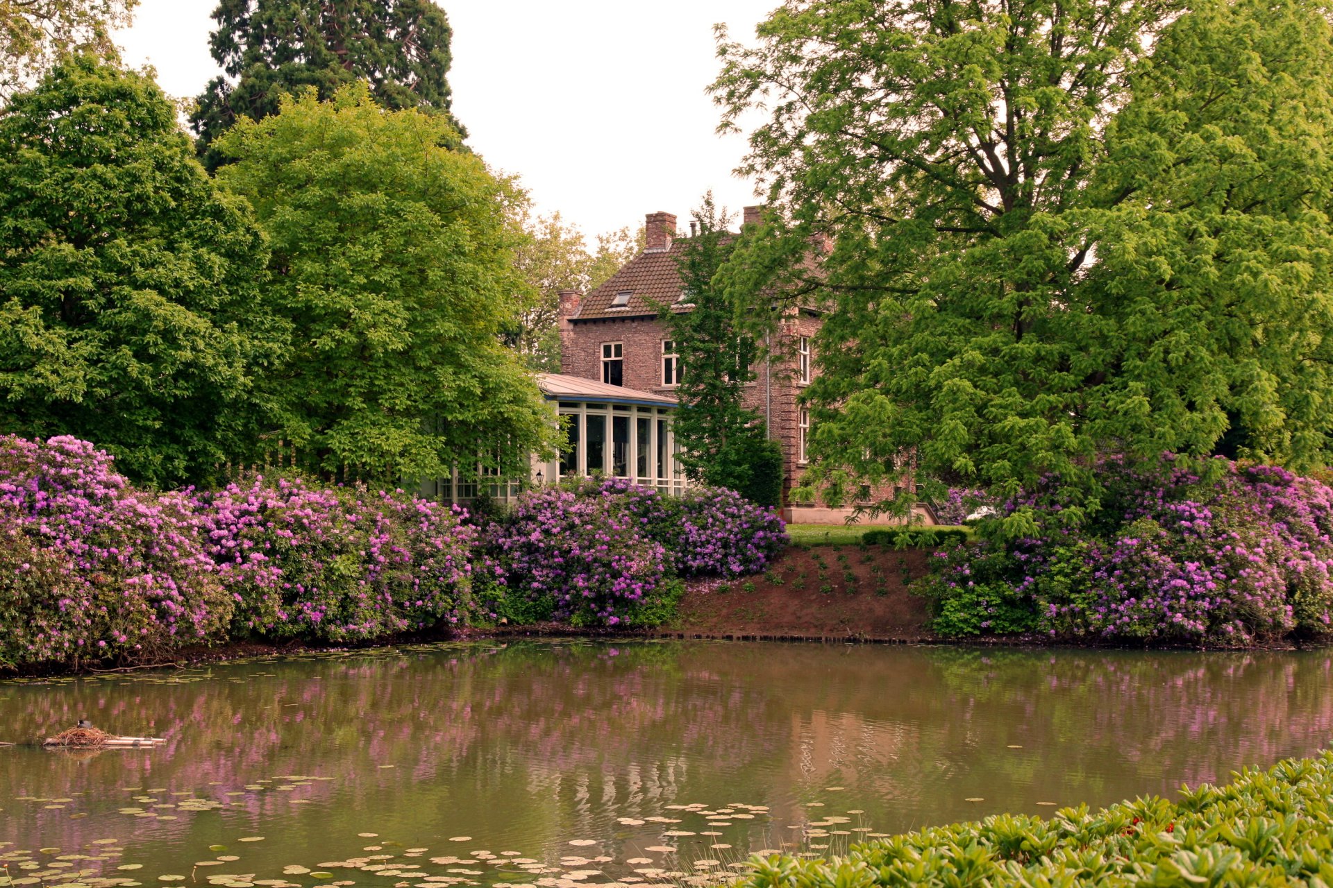 park bäume blumen teich haus