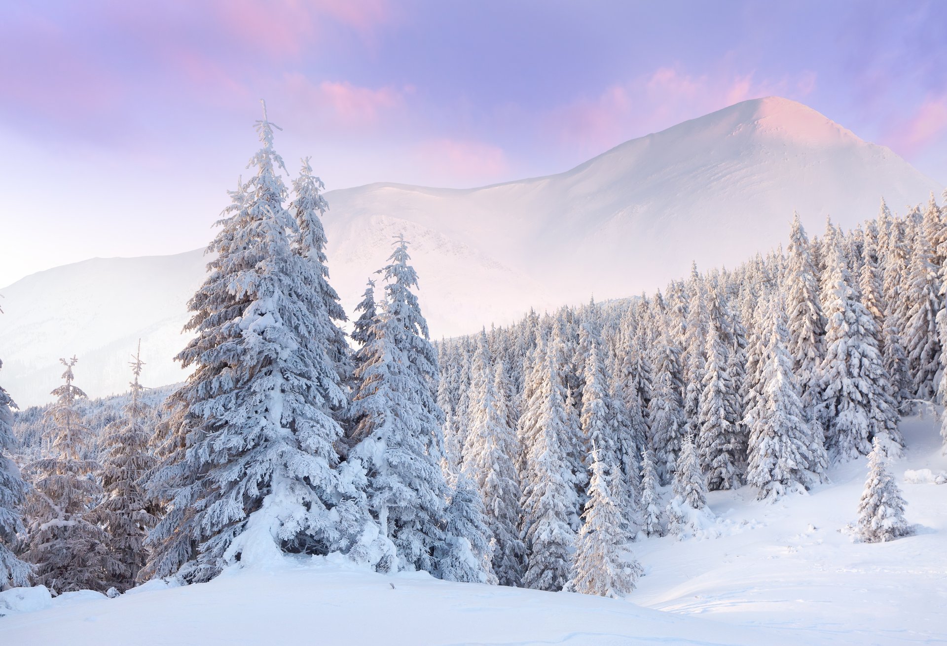 neige hiver forêt nuages aube