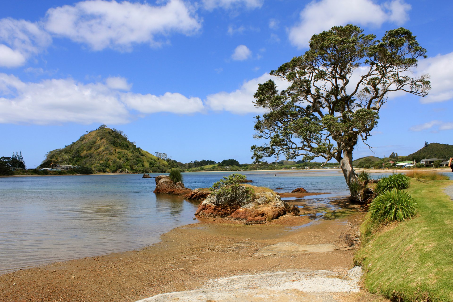 tree river lake sand stones hills grass cloud